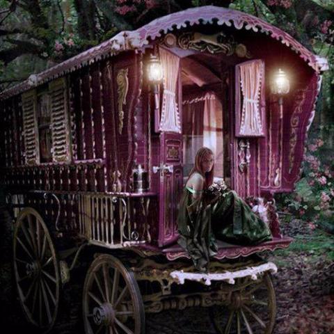 Bella Gypsy