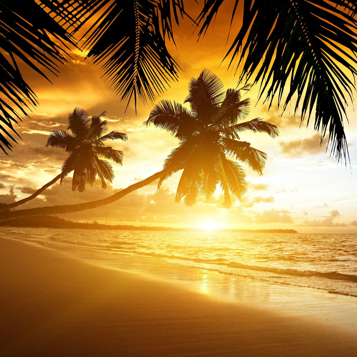 Golden Sands