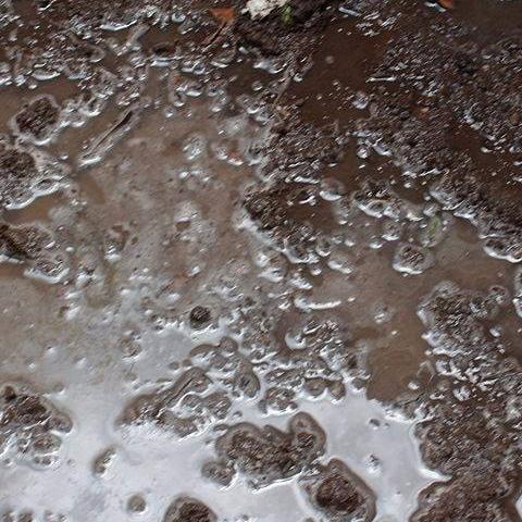 Petrichor