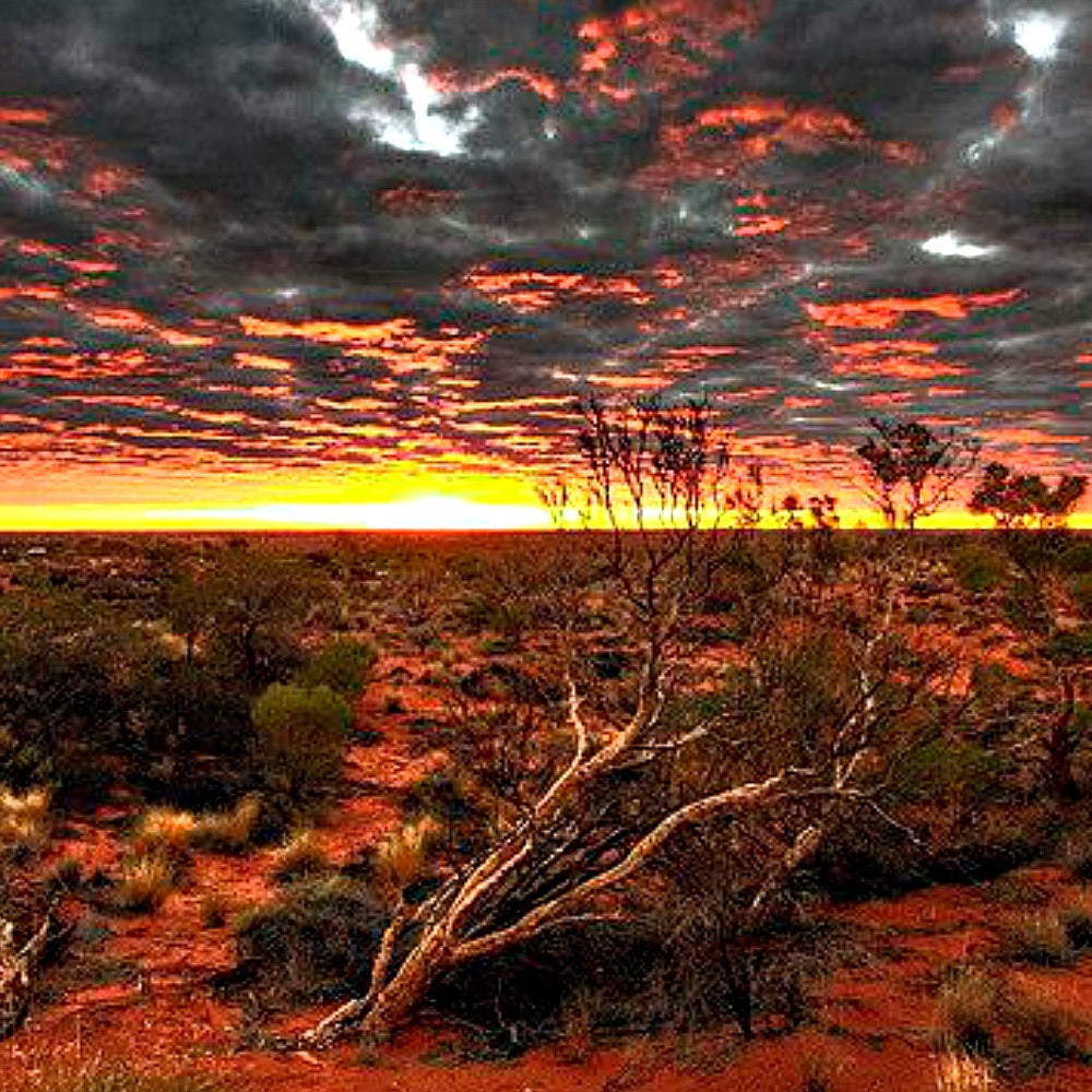 Outback Mate