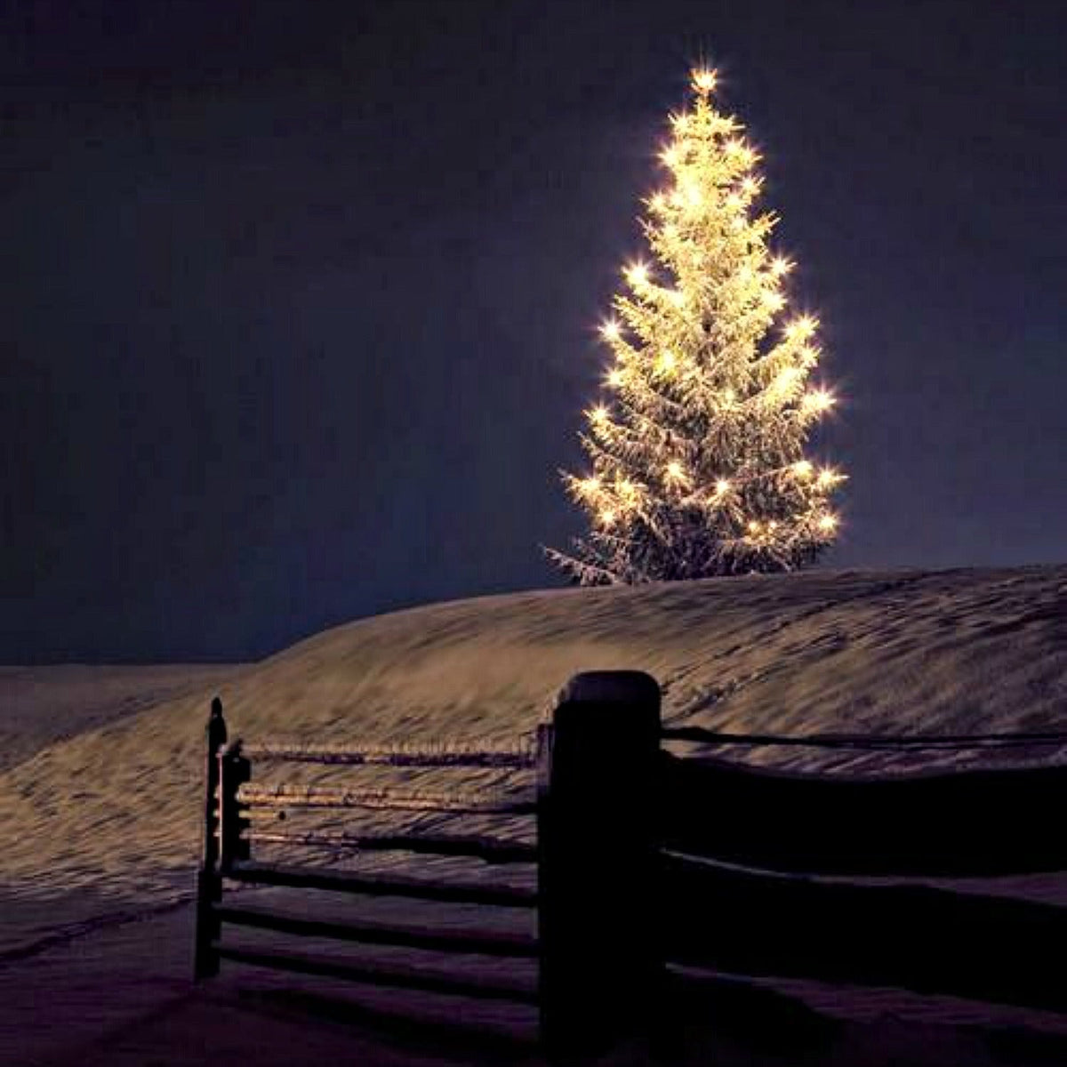 Silent Night