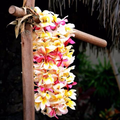 Wicked Good Perfume Aloha Tiare