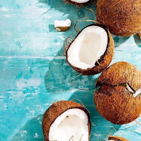 Wicked Good Perfume Coconut Water