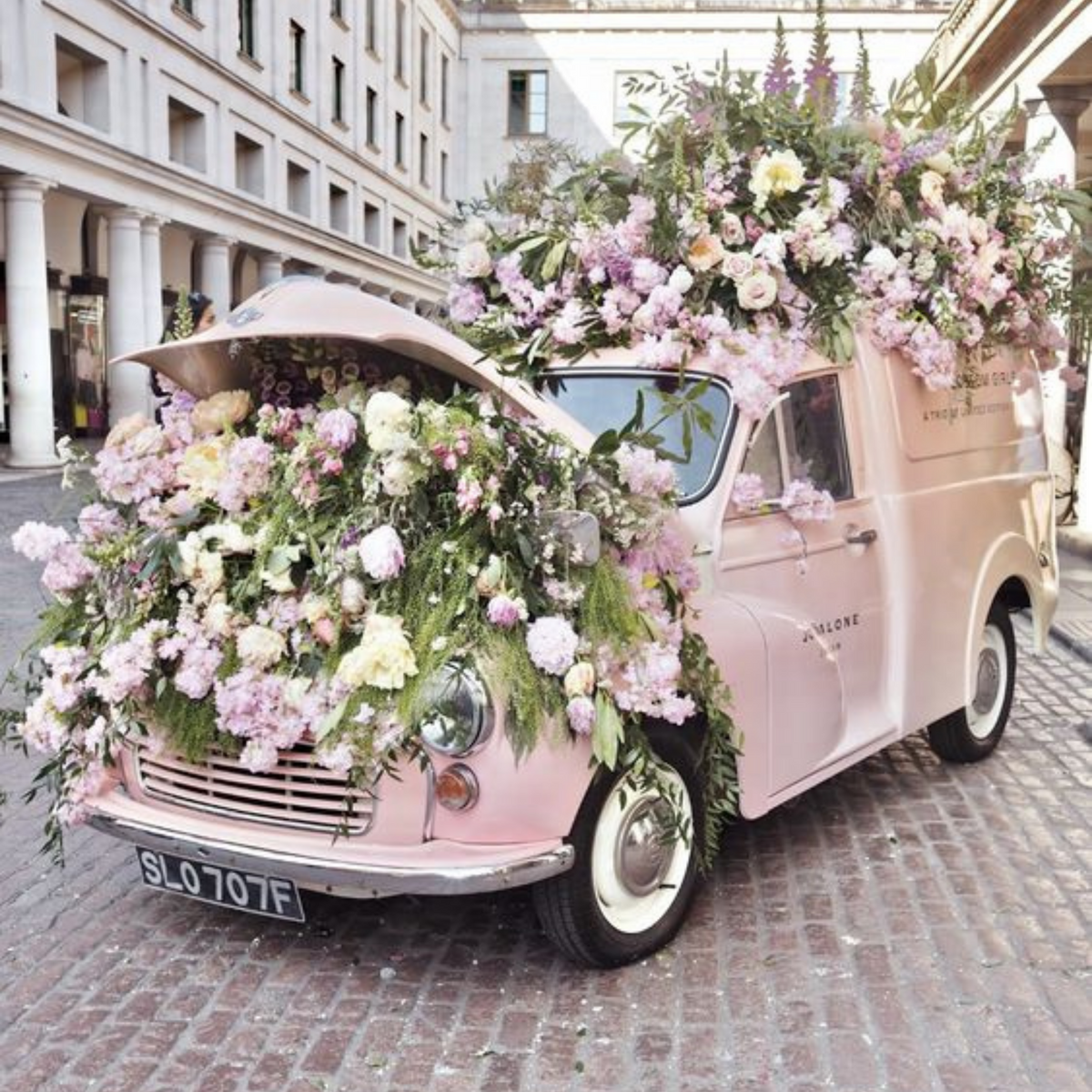 Chelsea Flowers