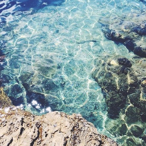 Swim With Mermaids