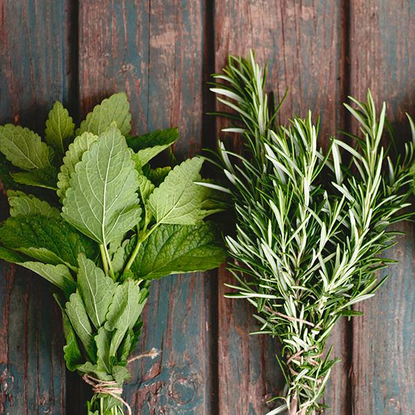 Rosemary Mint