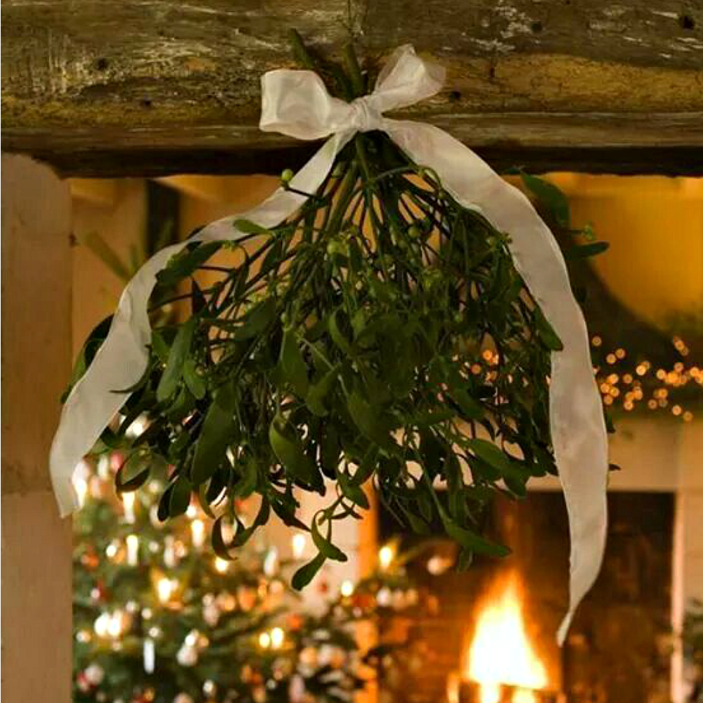 Mistletoe Kiss