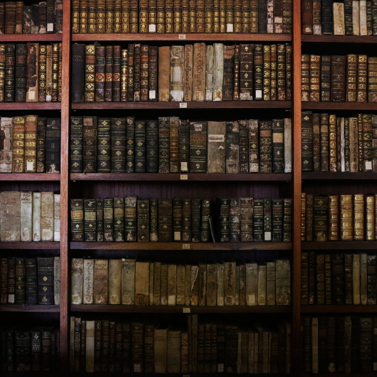Wicked Good Perfume Old Books